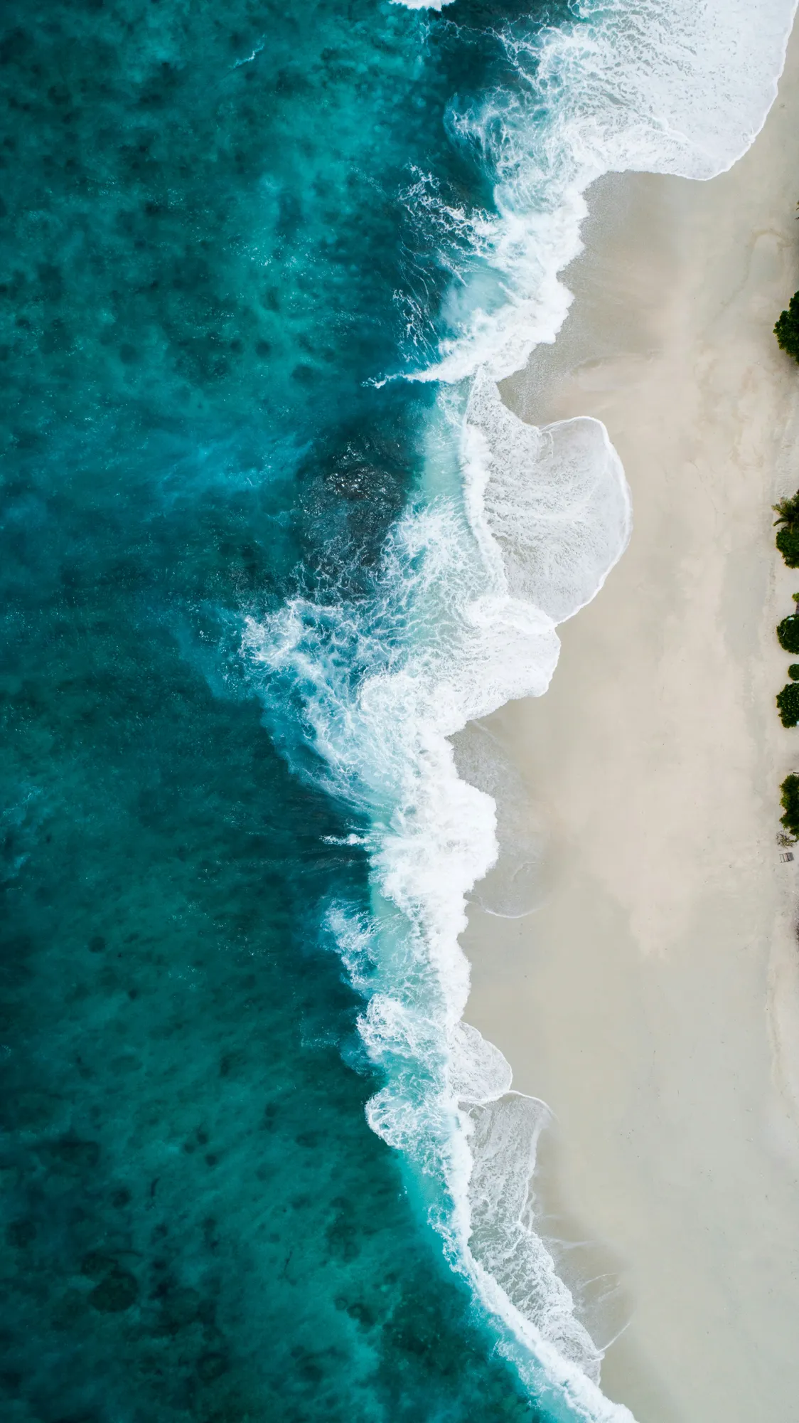 Aerial beach view