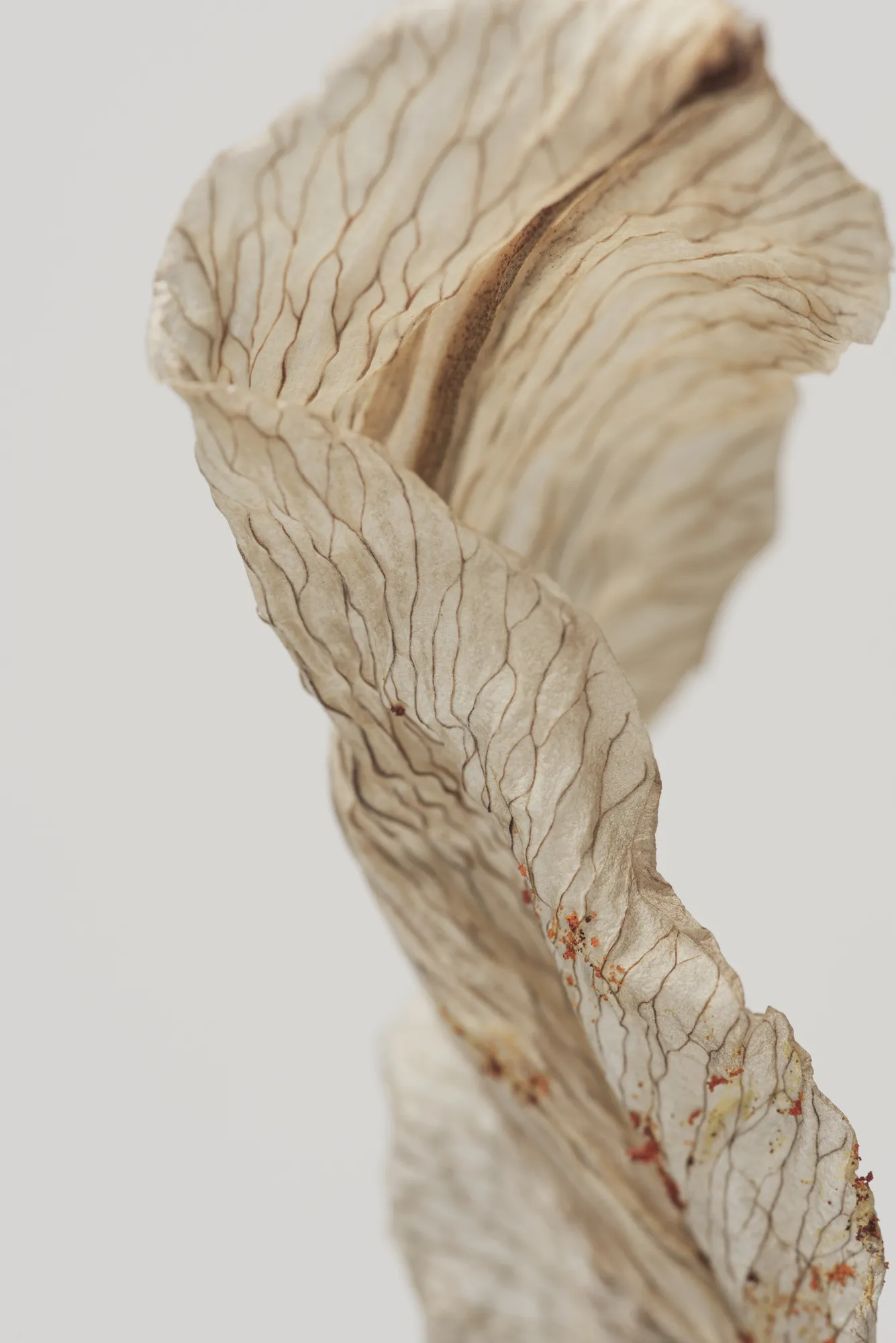 Natural texture