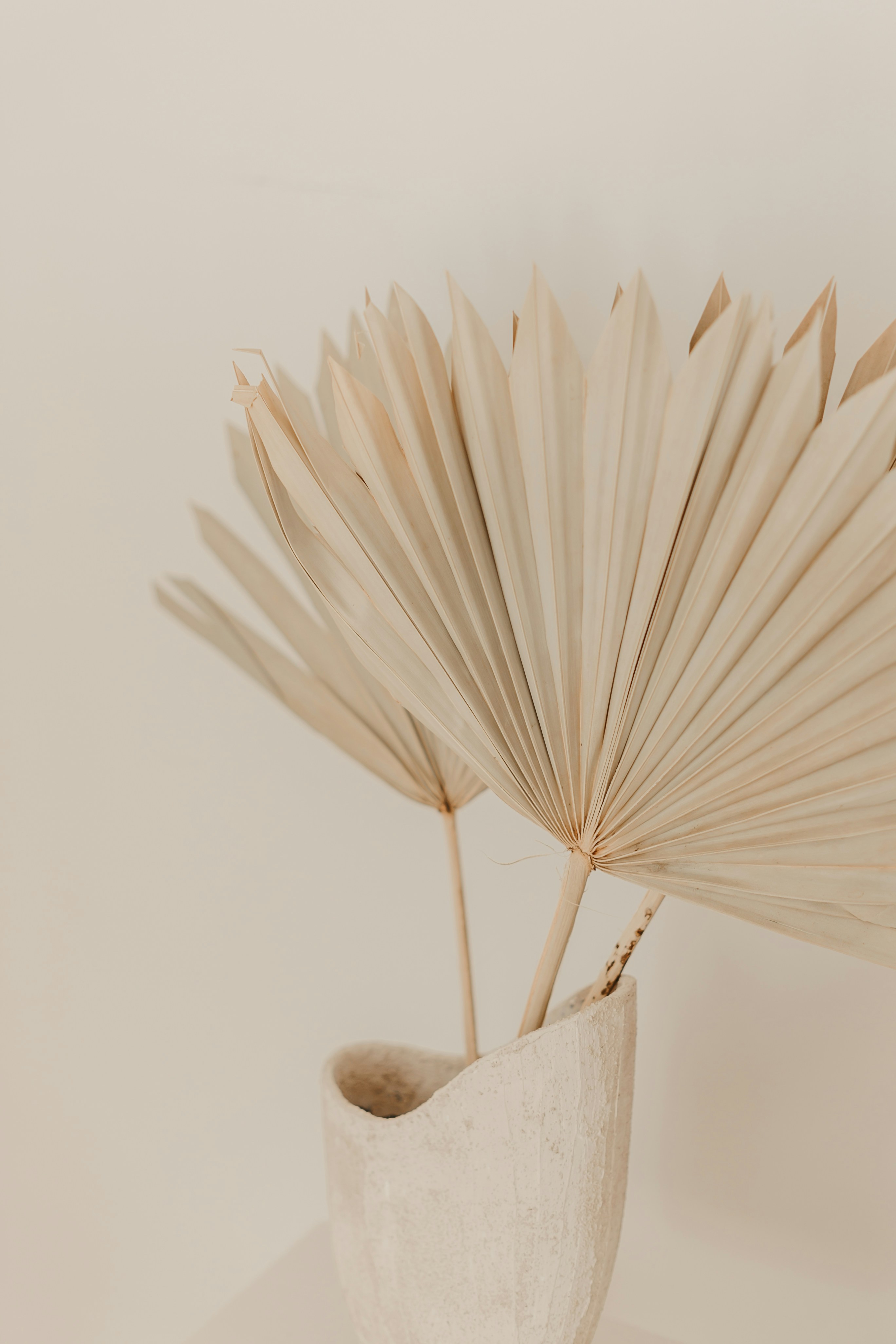 Soft flowing fabric texture